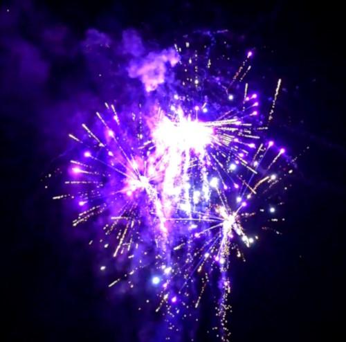 130 - Strobek, 16/20