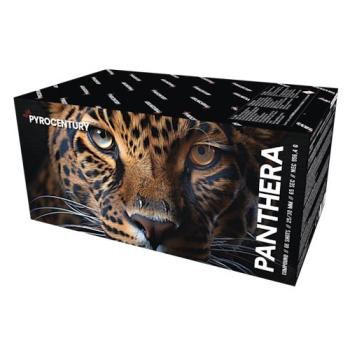 212 - Panthera (I, V, W)